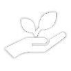seed